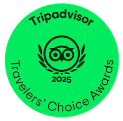 tripadvisor